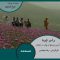 رابر چره | آیین پیشواز بهار در گیلان