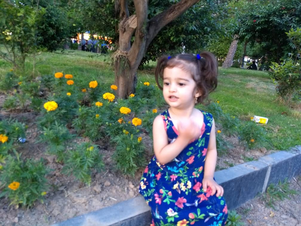 تصویر قبل بارگزاری