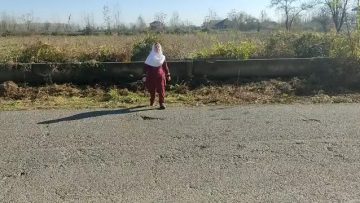 helsa raofi.mp4_snapshot_00.00_[2023.12.10_11.35.25]