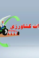 clip12(1.24).m4v_snapshot_00.06_[2025.01.13_12.35.17]